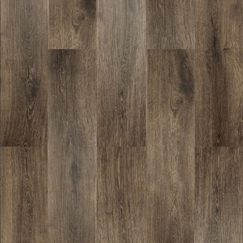 Tudor oak